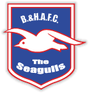 Alternate club badge