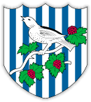 Club badge