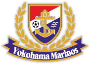 Club badge