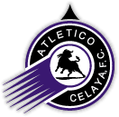 Club badge