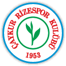 Club badge