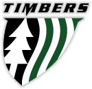 Club badge